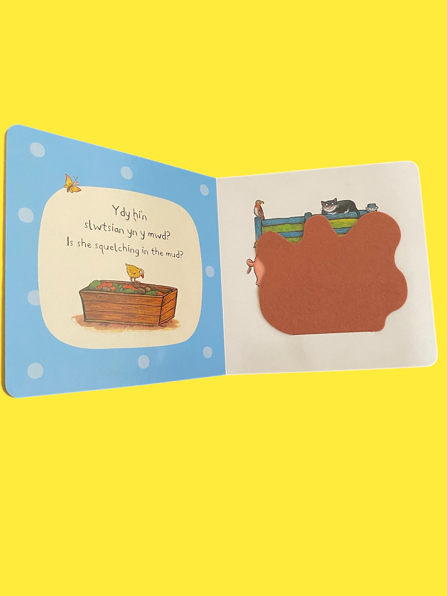 Llyfr ‘Pwy Sy’n Cuddio Ar Y Fferm?’