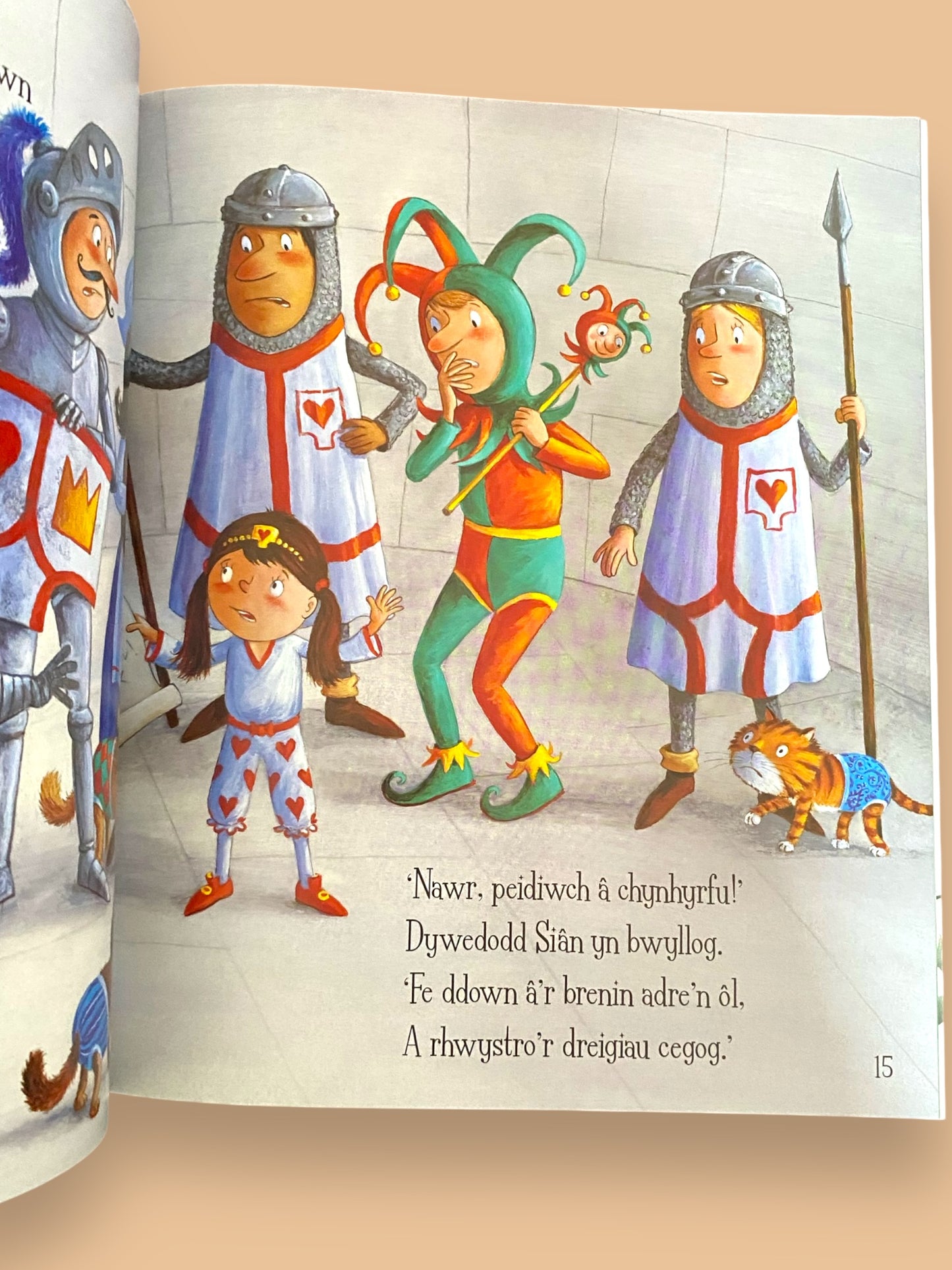 Llyfr Dreigiau Drygionus Gwlad Y Pants