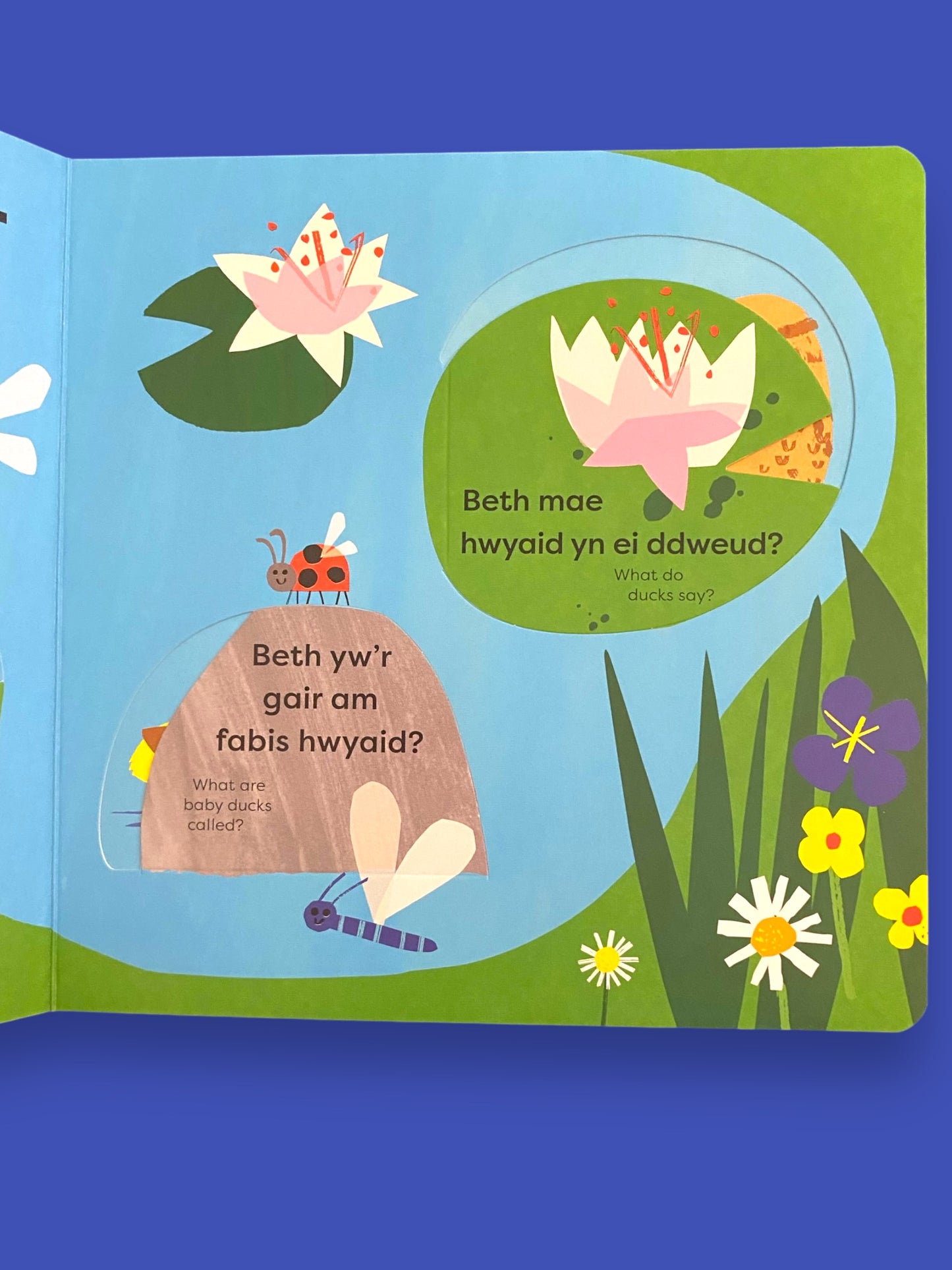 Llyfr Canllaw Cyntaf Byd Natur - Dwi’n Gweld Hwyaden!