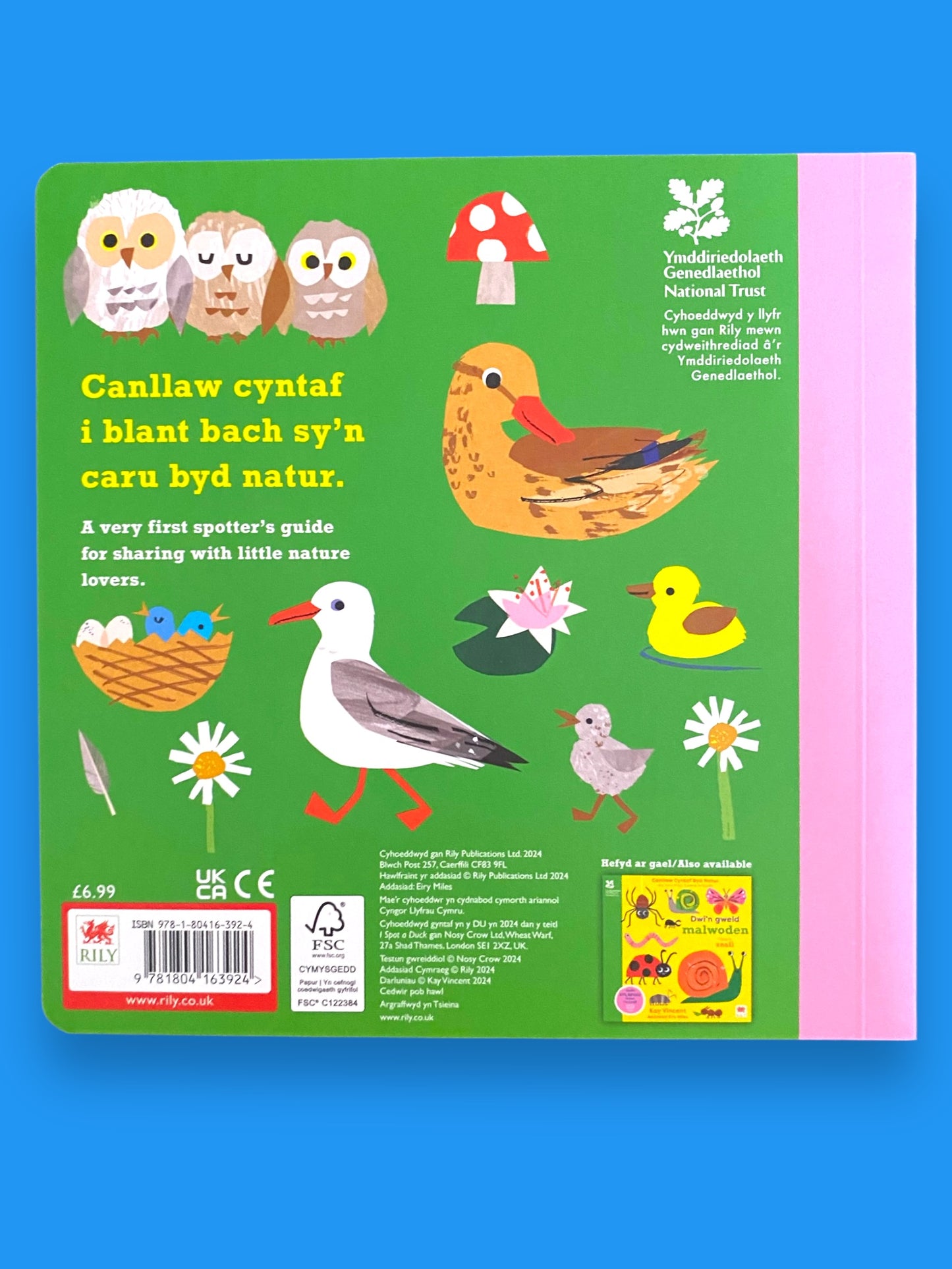 Llyfr Canllaw Cyntaf Byd Natur - Dwi’n Gweld Hwyaden!