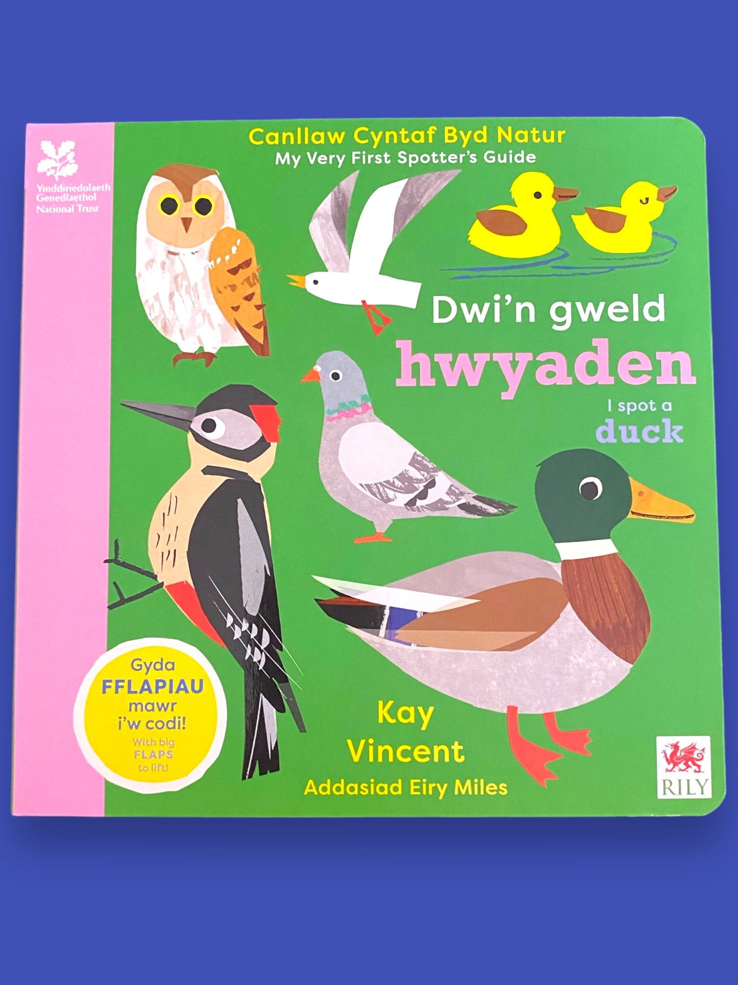 Llyfr Canllaw Cyntaf Byd Natur - Dwi’n Gweld Hwyaden!